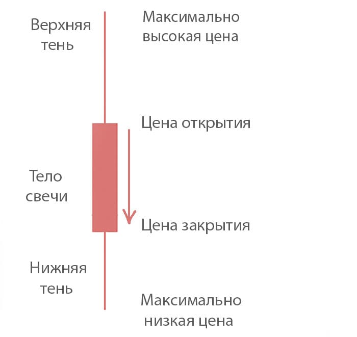 Медвежья свеча